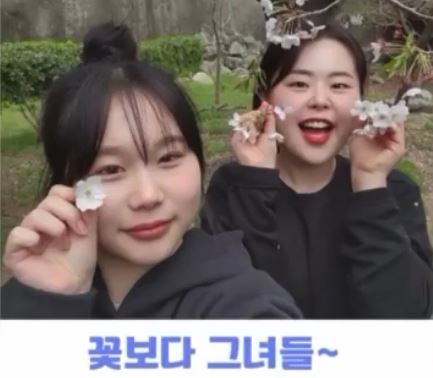 캡처.JPG